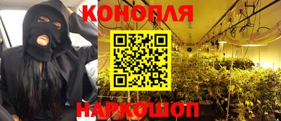 крисы Тула