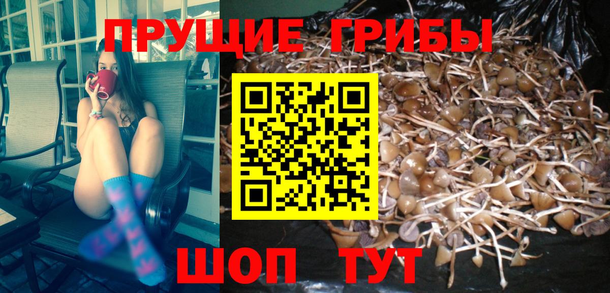 Валуйки  Псилоцибиновые грибы GOLDEN TEACHER  Вход с VPN 